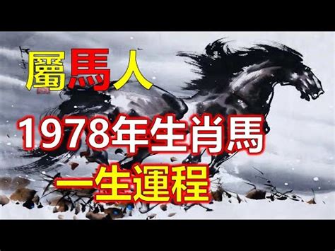 1978屬馬的女人2023|屬馬女2023財運亨通